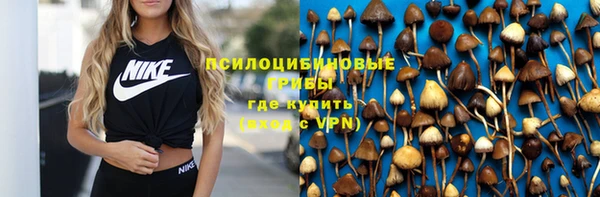 прущая мука Костерёво