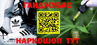 гидра Гай